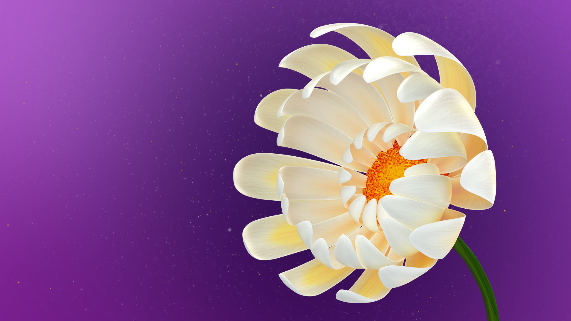 Beautiful Animated White Daisy Flower 3D model_7