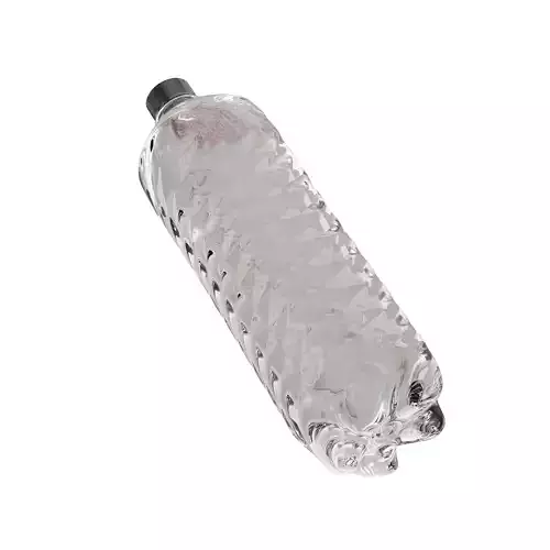 Generic Plastic Bottle