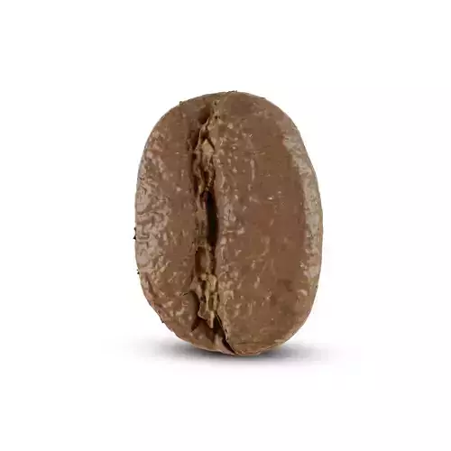 Coffee Beans Low-poly 3D model