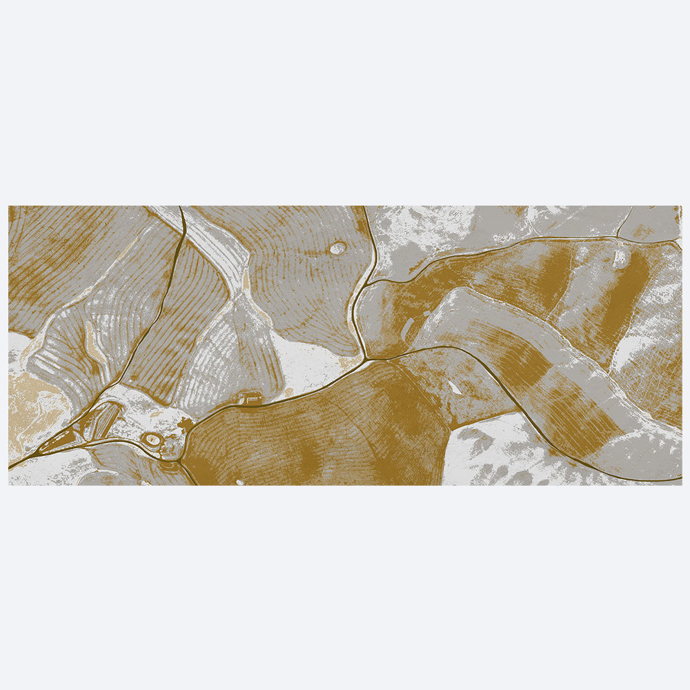 Wallpaper Birds Eye View Free 3D model_2