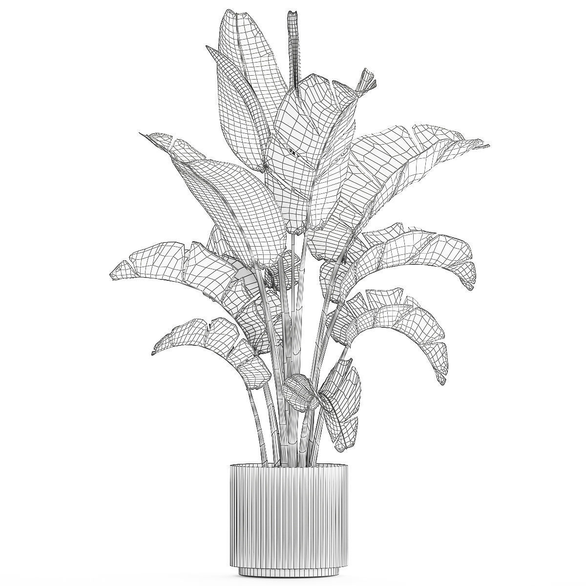 Strelitzia and Ravenala palm bush in a flower pot 1224 3D model_7