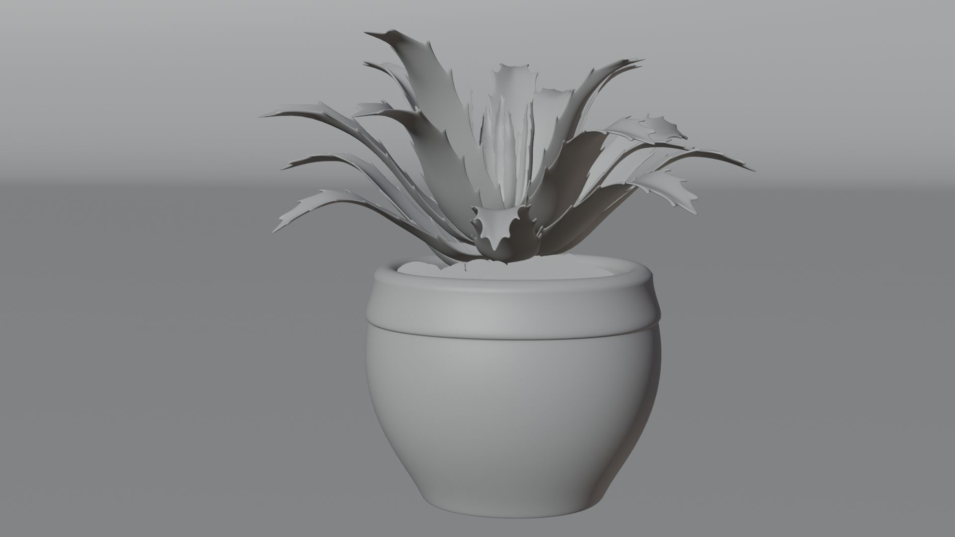 succulent plant 3D model_11