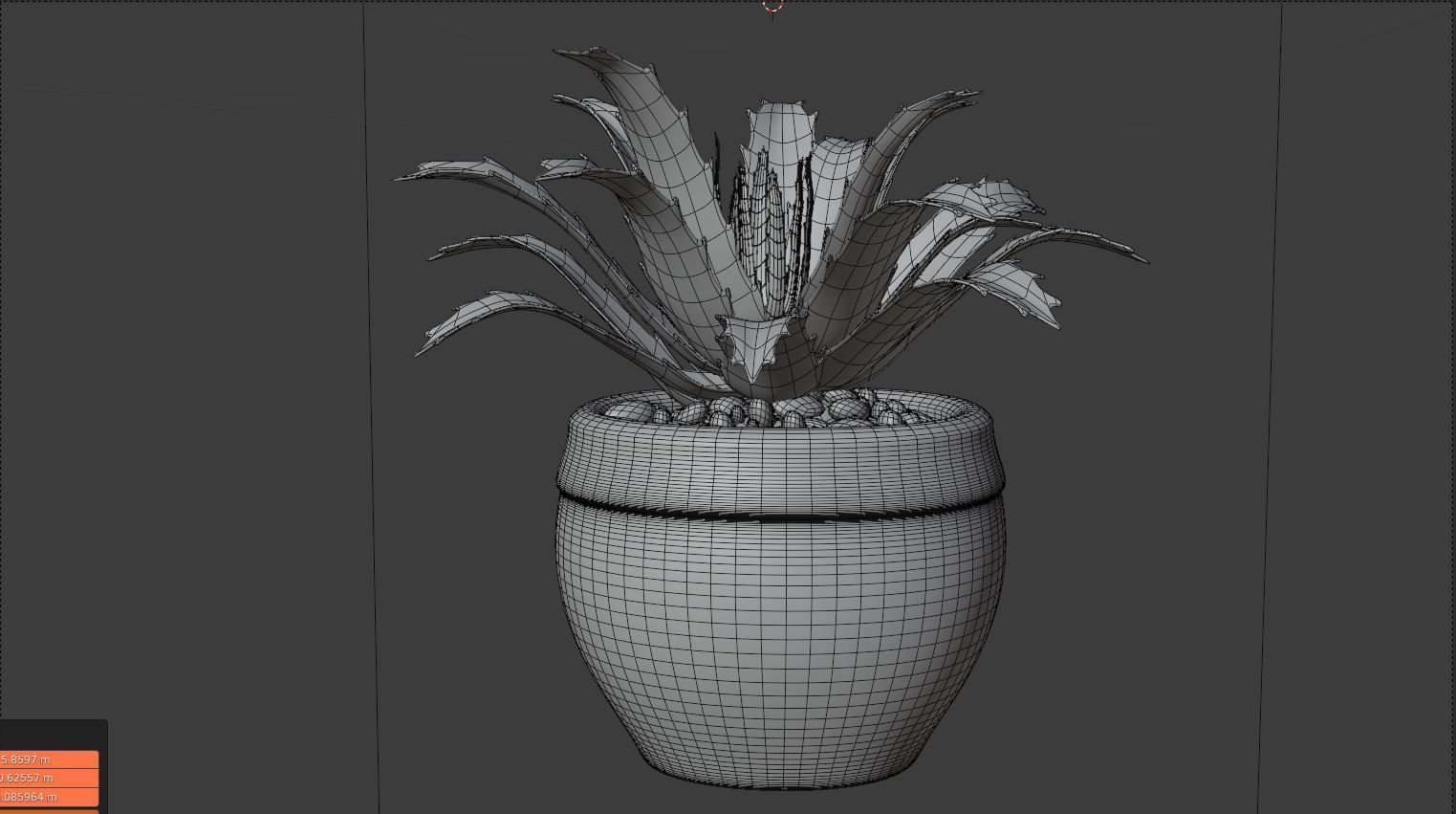 succulent plant 3D model_7