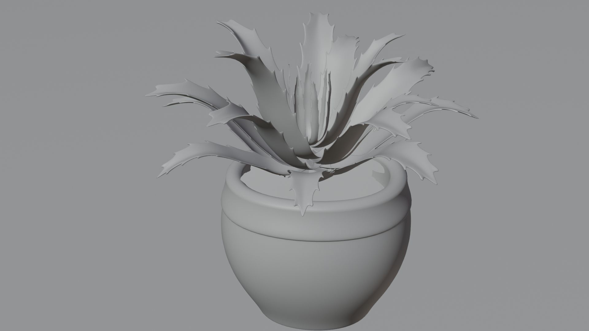 succulent plant 3D model_10