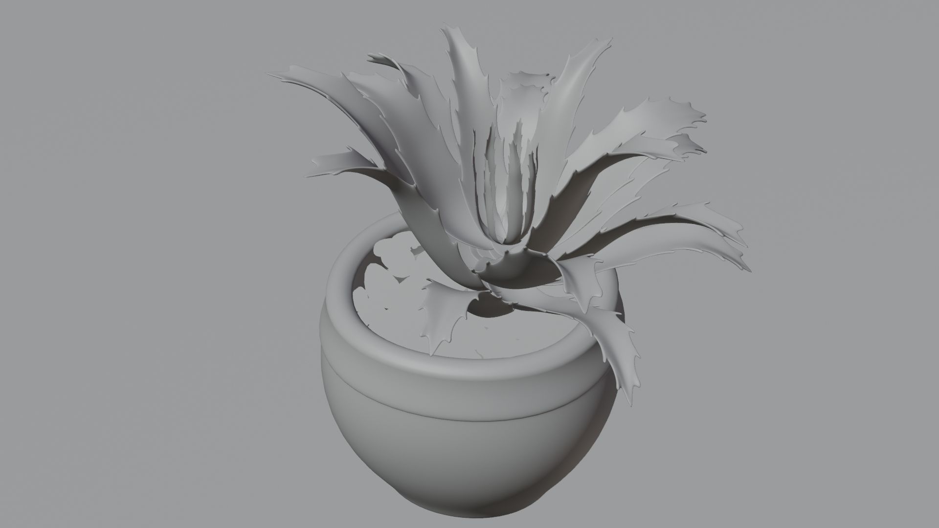 succulent plant 3D model_12