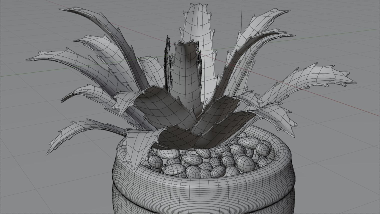 succulent plant 3D model_5