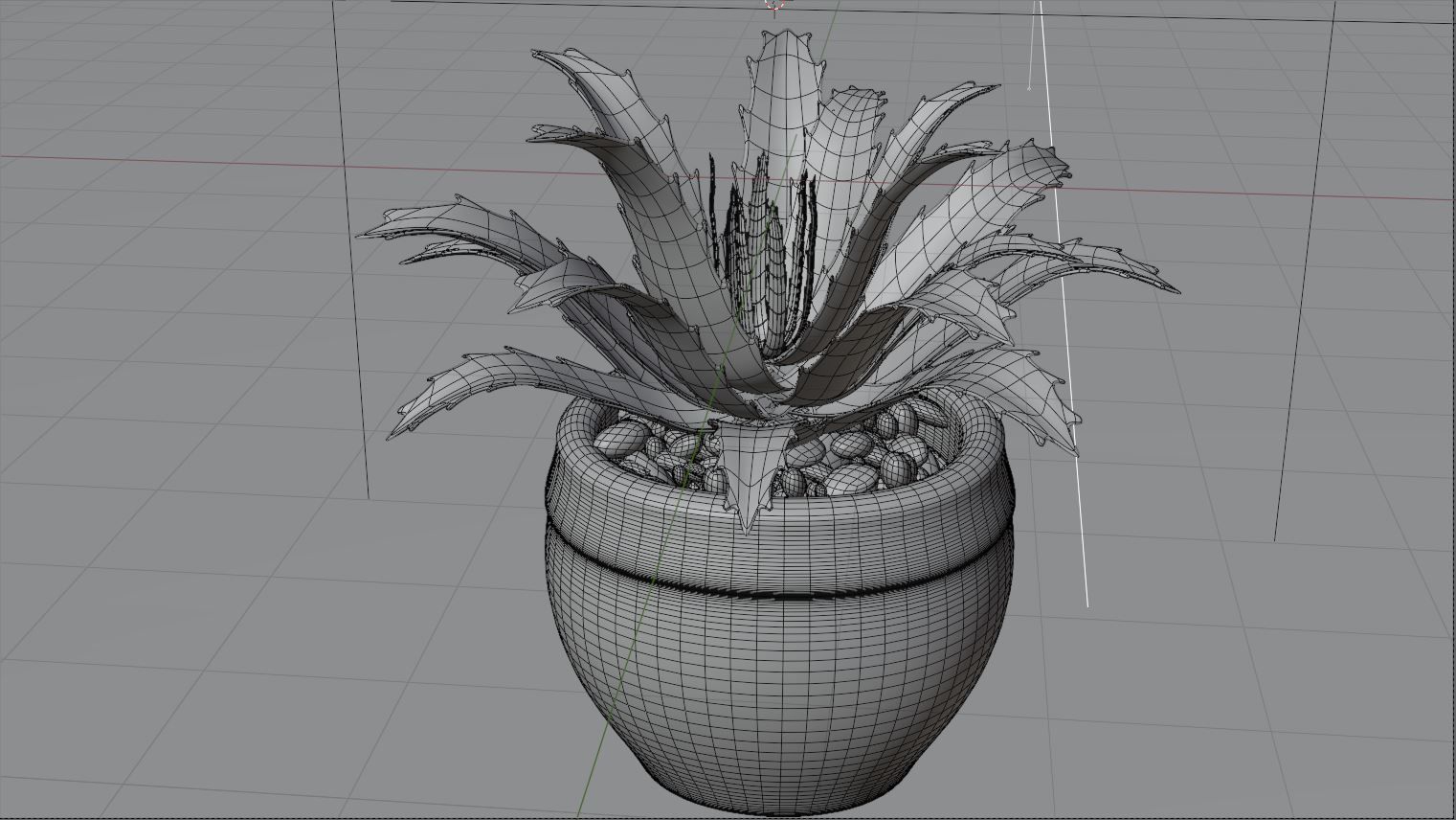 succulent plant 3D model_8