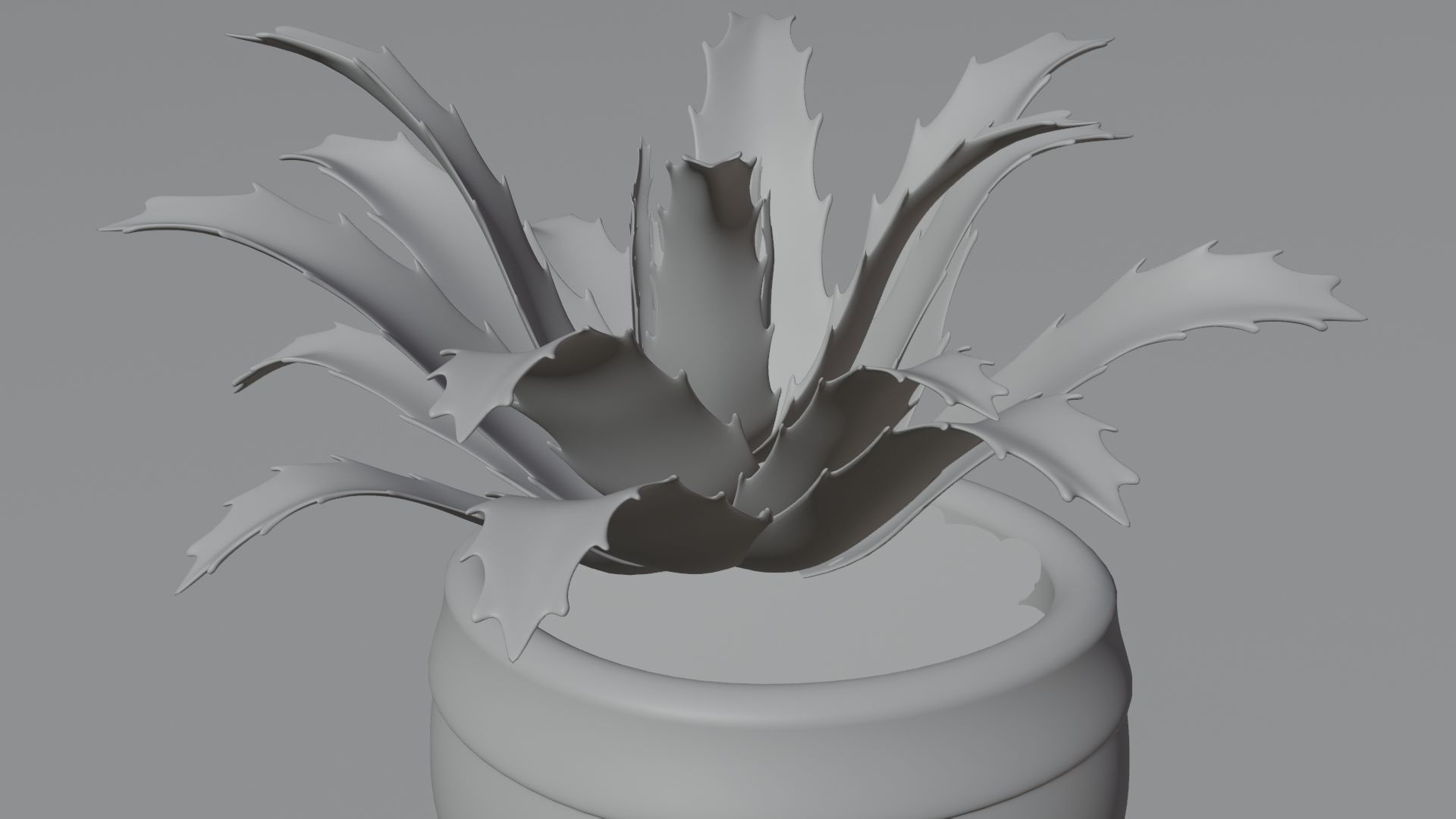 succulent plant 3D model_9