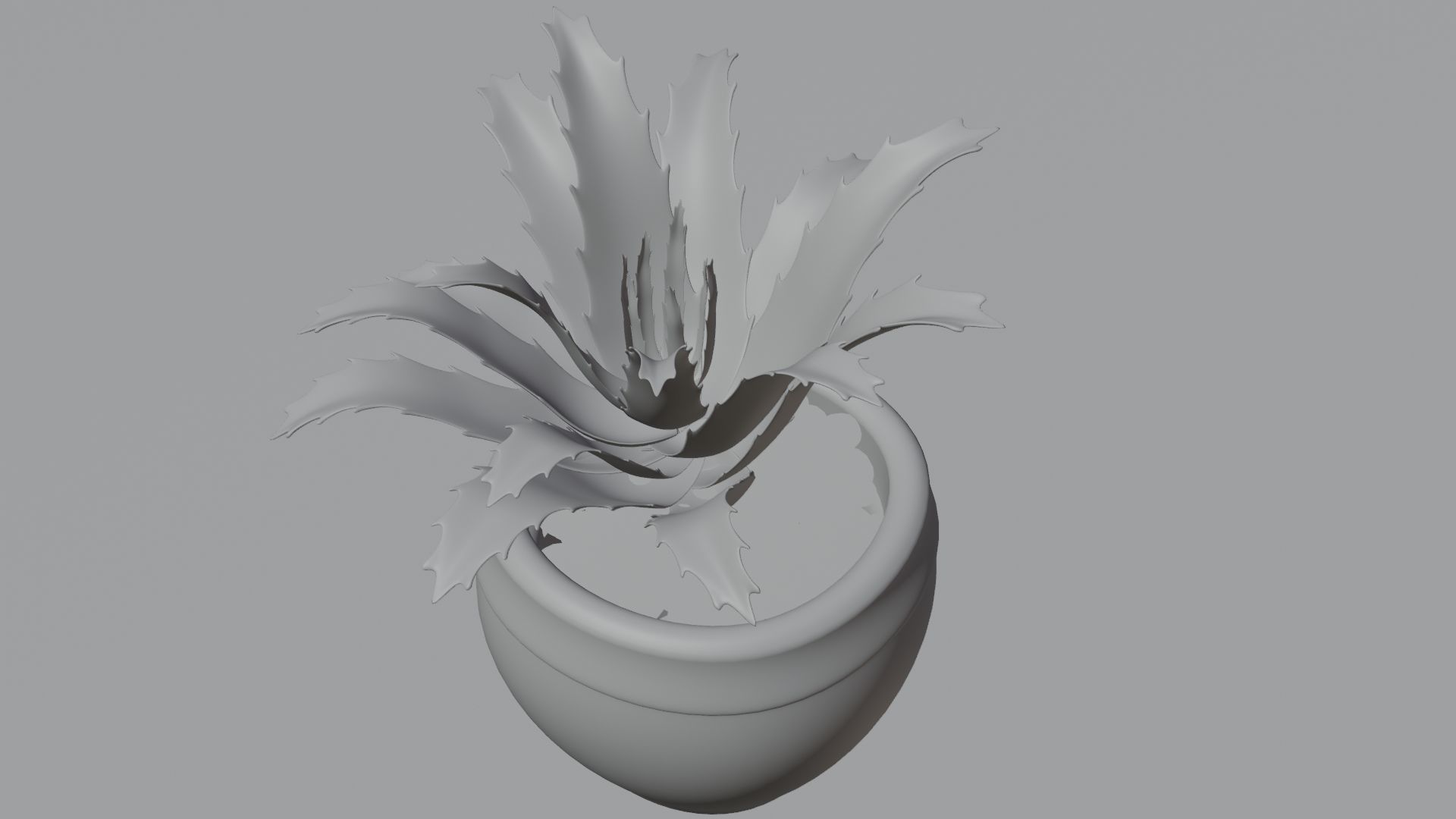 succulent plant 3D model_13