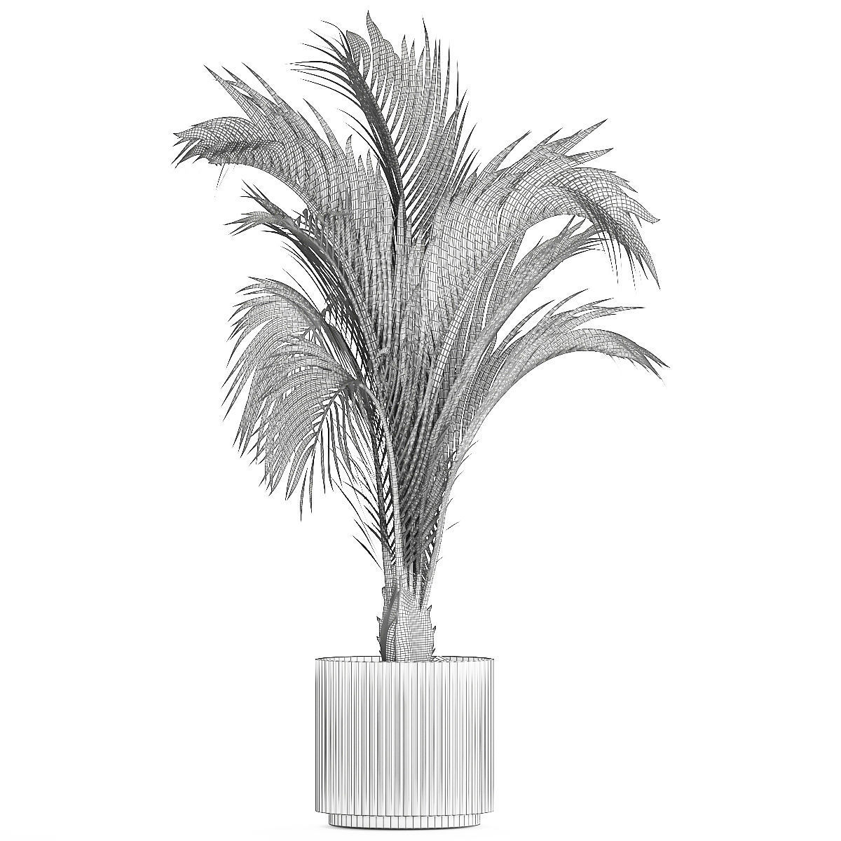 Areca And Hedyscepe Palm Bush In Flowerpot 1225 3D model_8