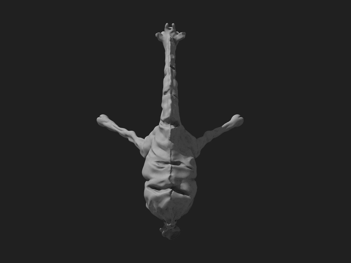 giraffe sculpture 3D print model_5