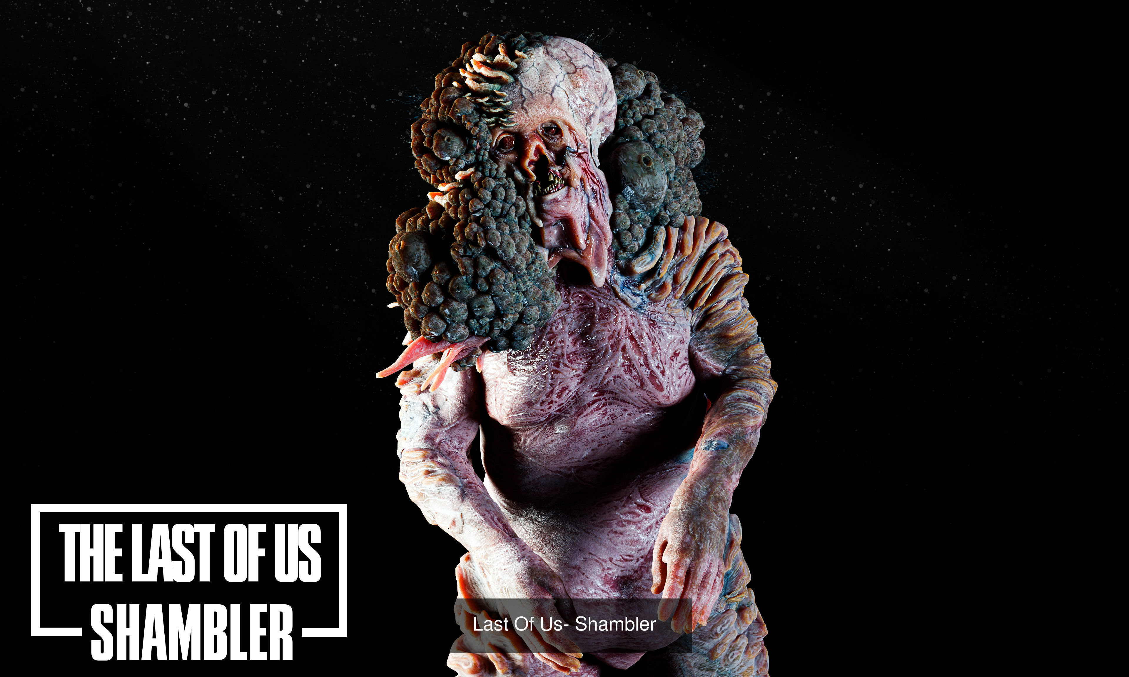 The Last Of Us Collection _3