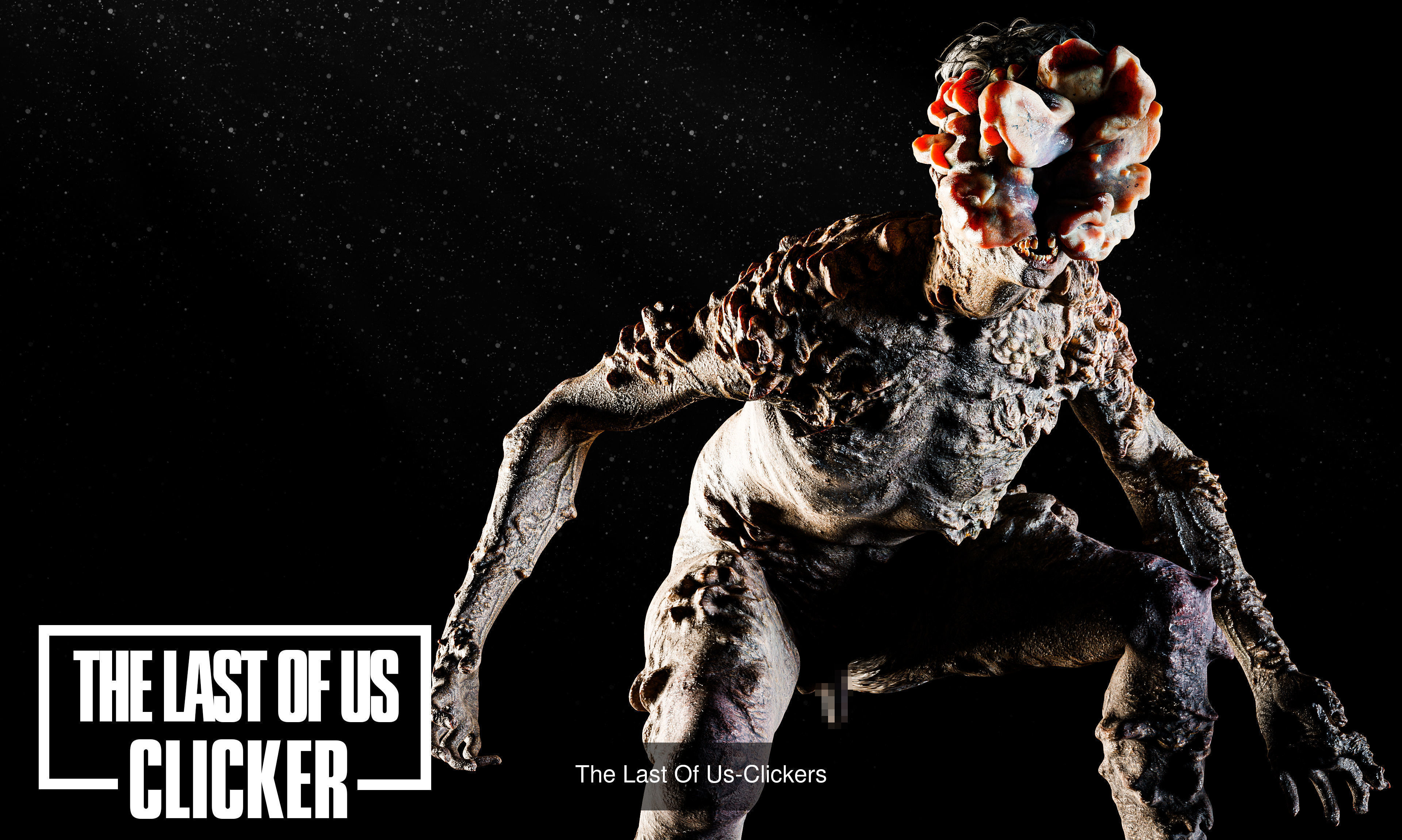 The Last Of Us Collection _4