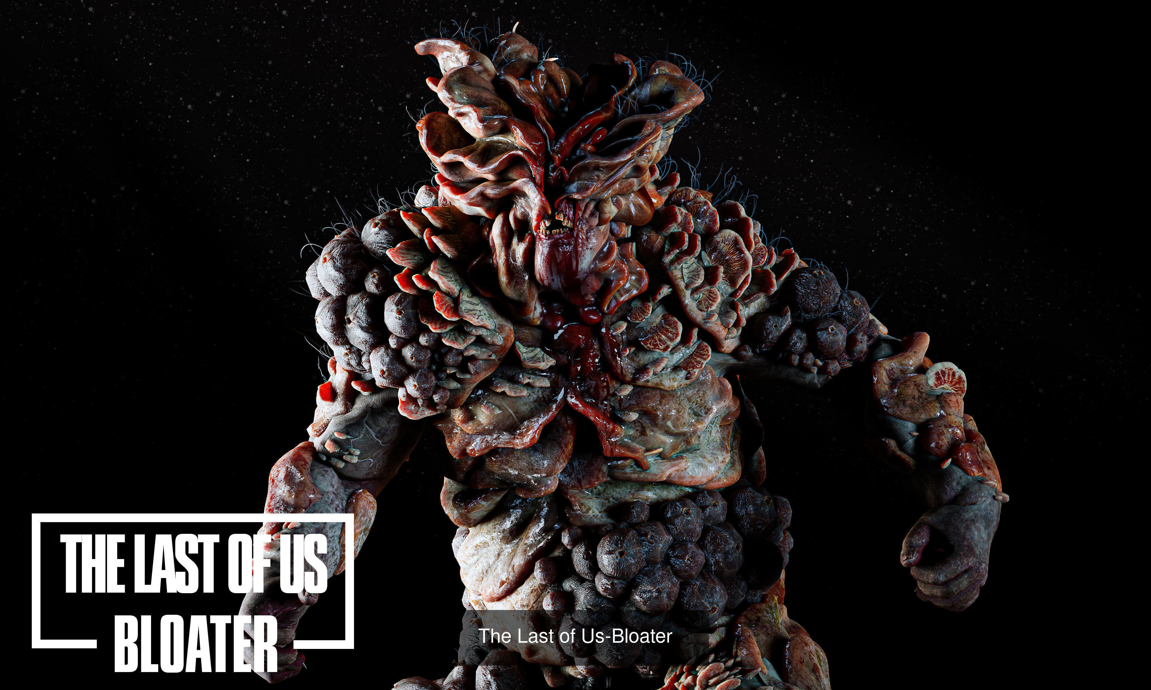 The Last Of Us Collection _2