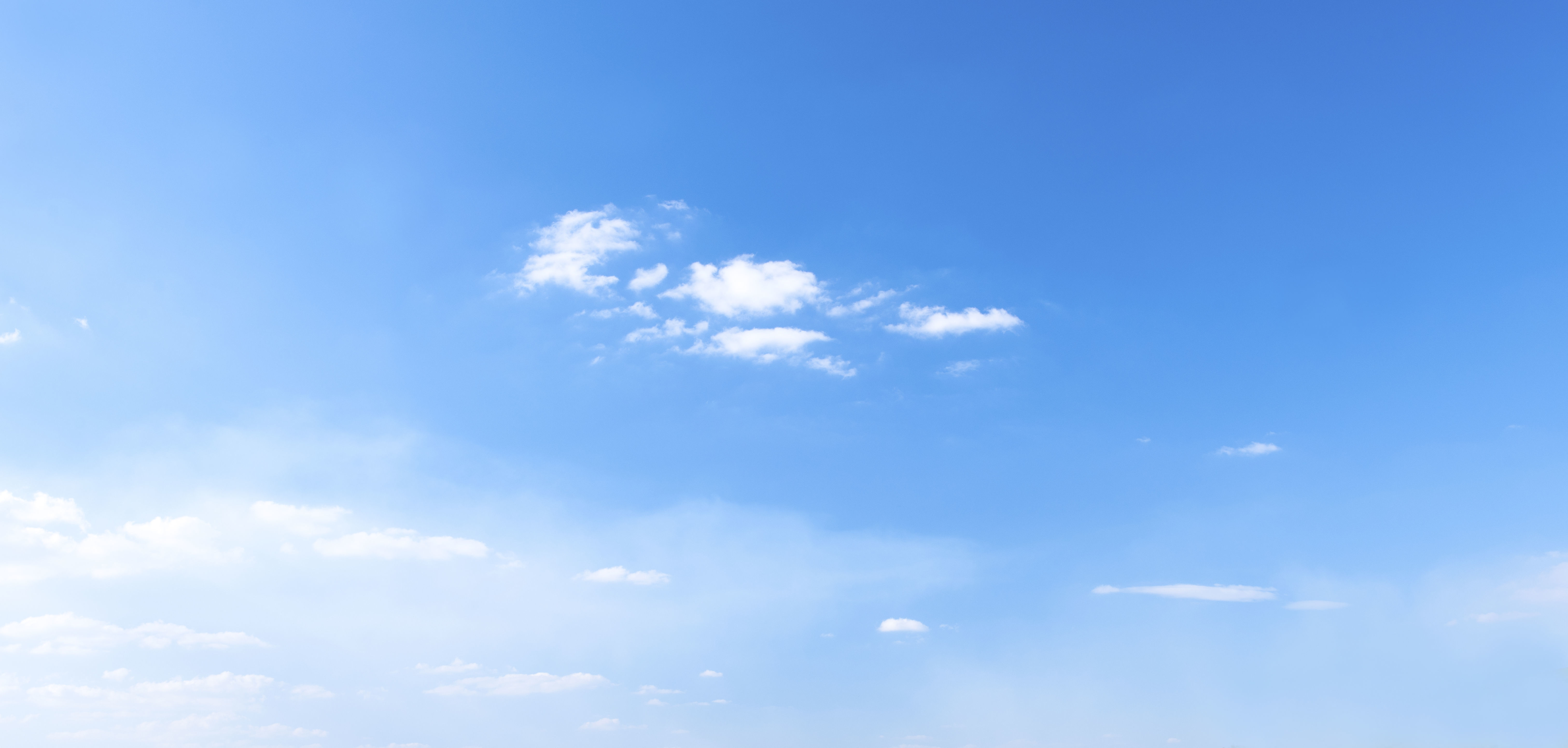 3D beach animal crossing character on Low-poly 3D model_7