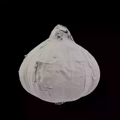 Delicious Garlic - photoscan