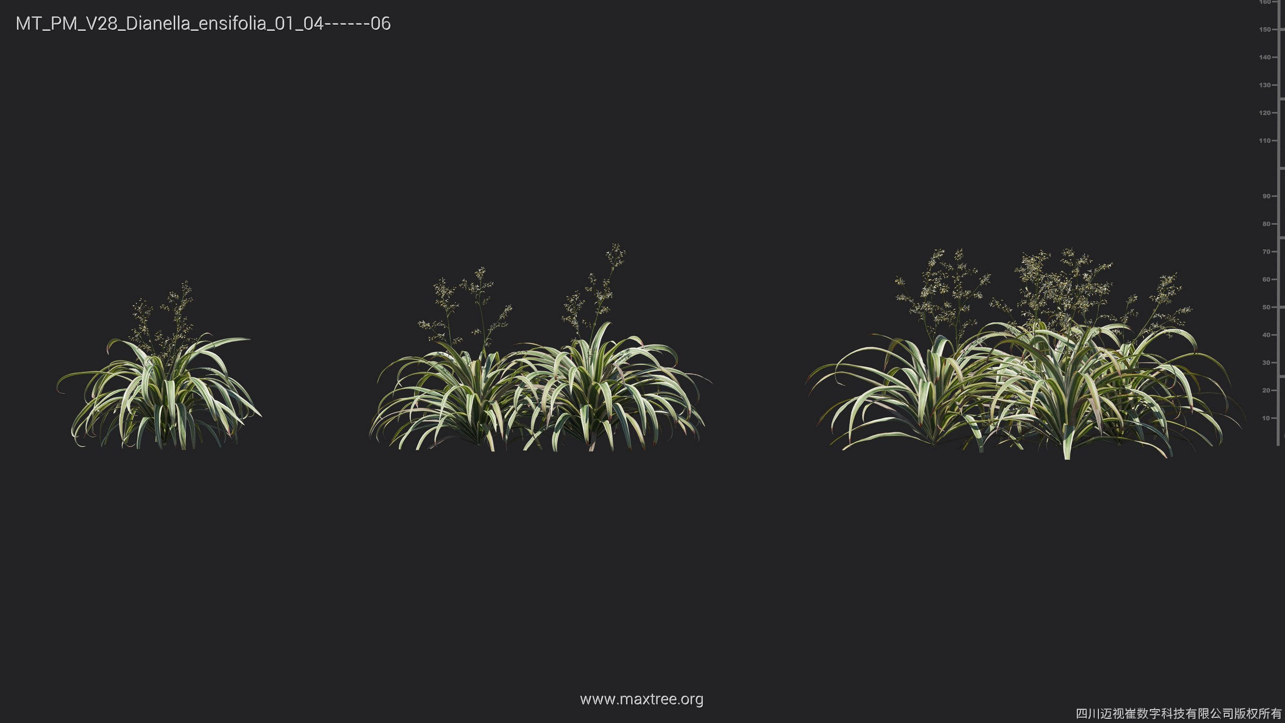 Maxtree Plant Models Vol 28 - Mesh 3D model_14