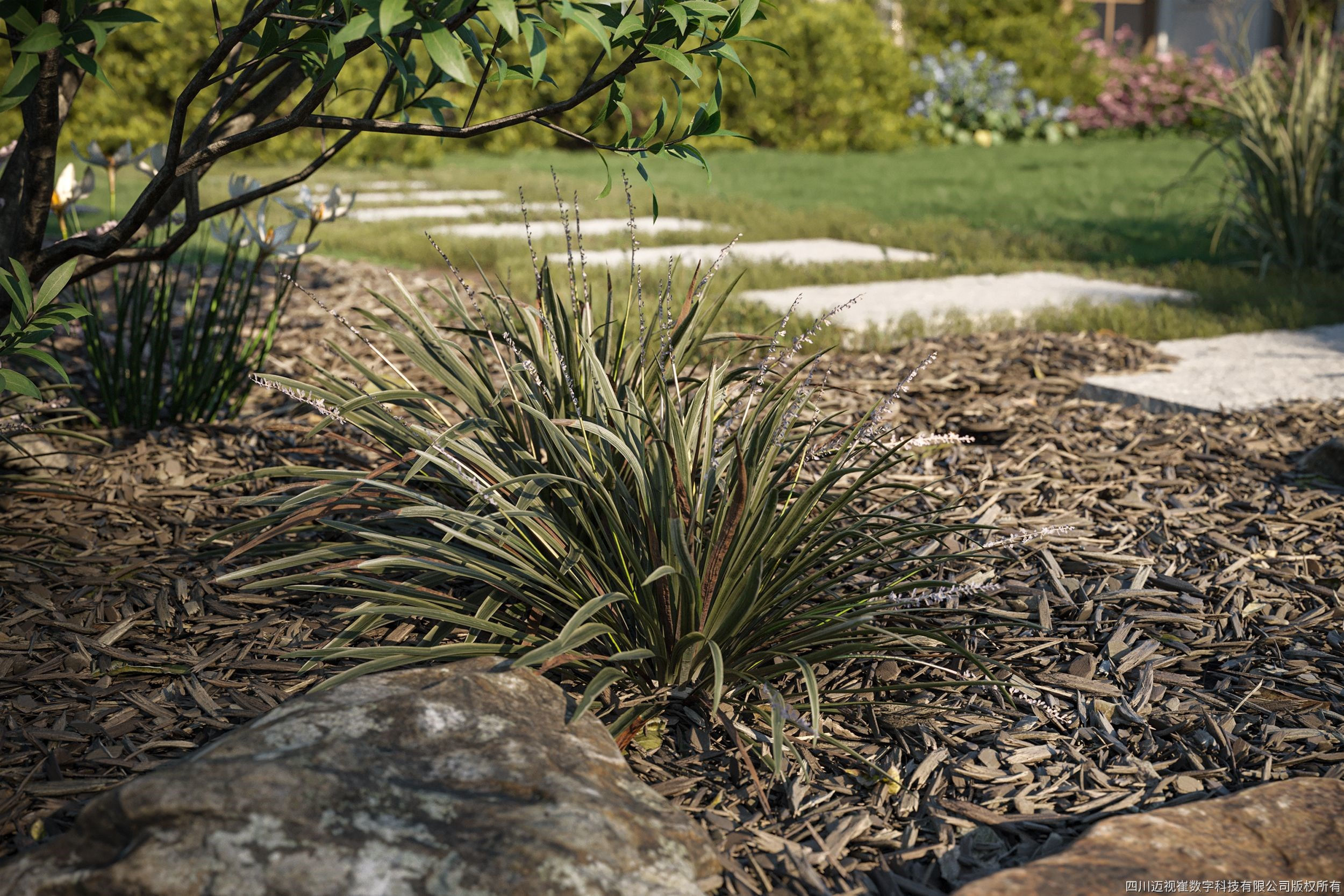 Maxtree Plant Models Vol 28 - Mesh 3D model_4