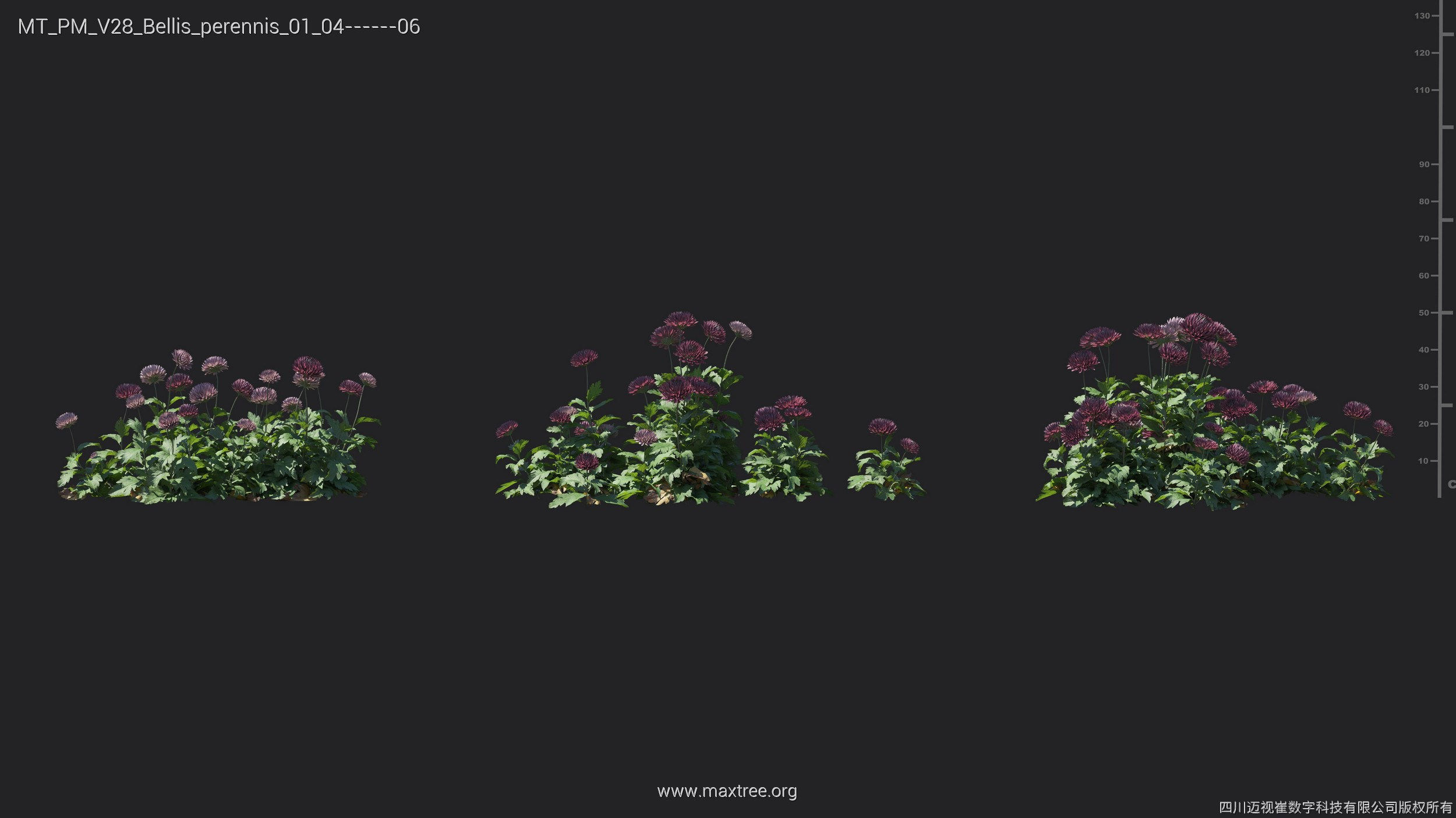 Maxtree Plant Models Vol 28 - Mesh 3D model_28