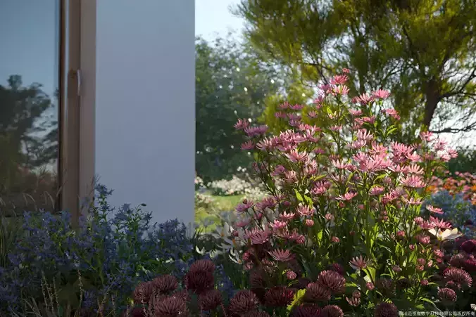 Maxtree Plant Models Vol 28 - Mesh