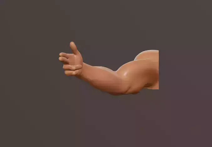 Male Arm With Gun Hand