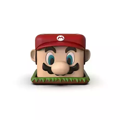 Mario Bros Pot Maceta 3D print model