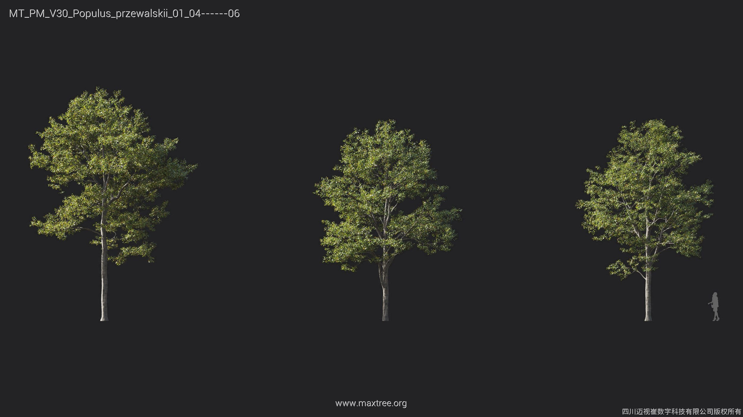 Maxtree Plant Models Vol 30 - Mesh 3D model_19