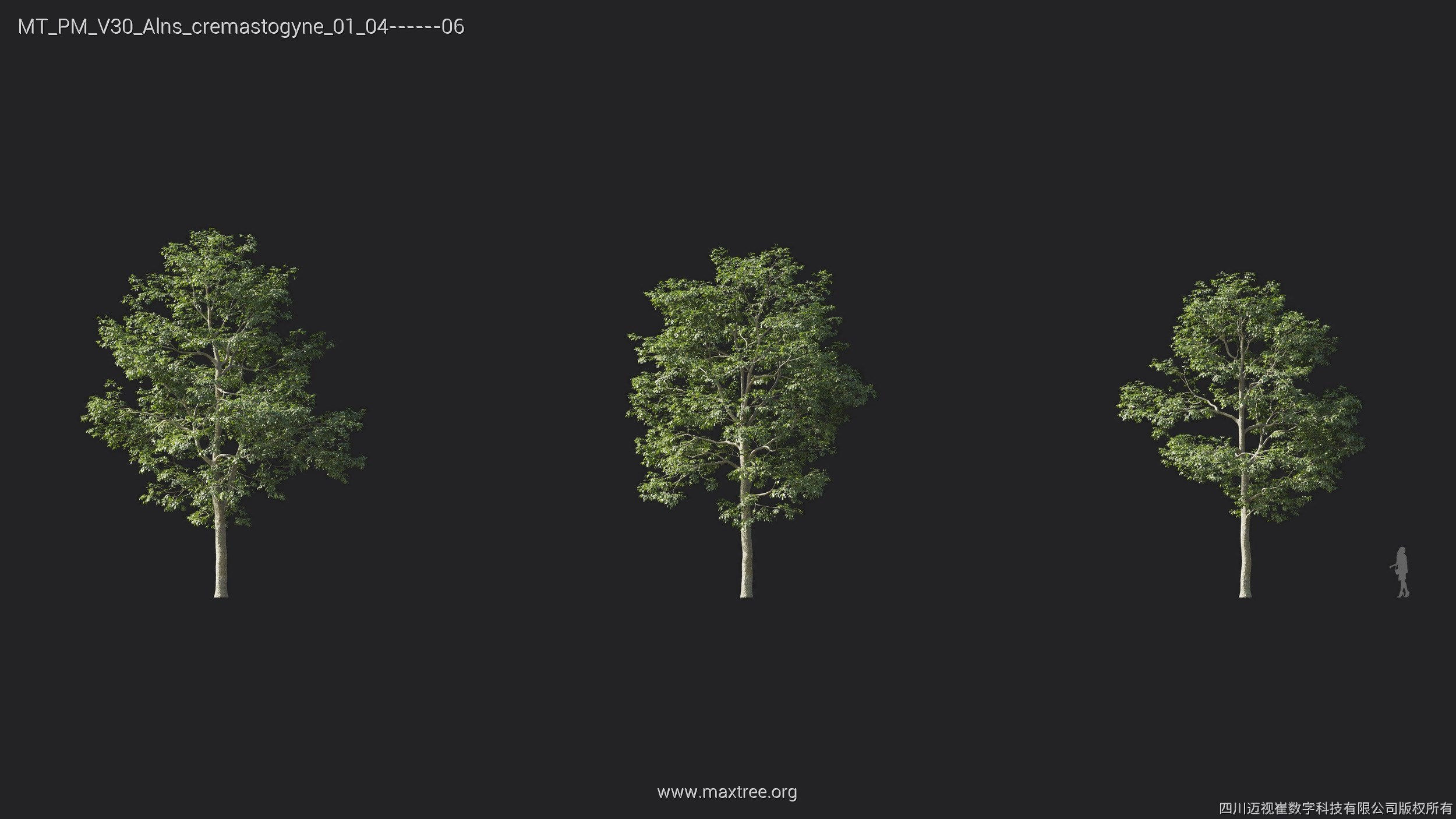 Maxtree Plant Models Vol 30 - Mesh 3D model_3