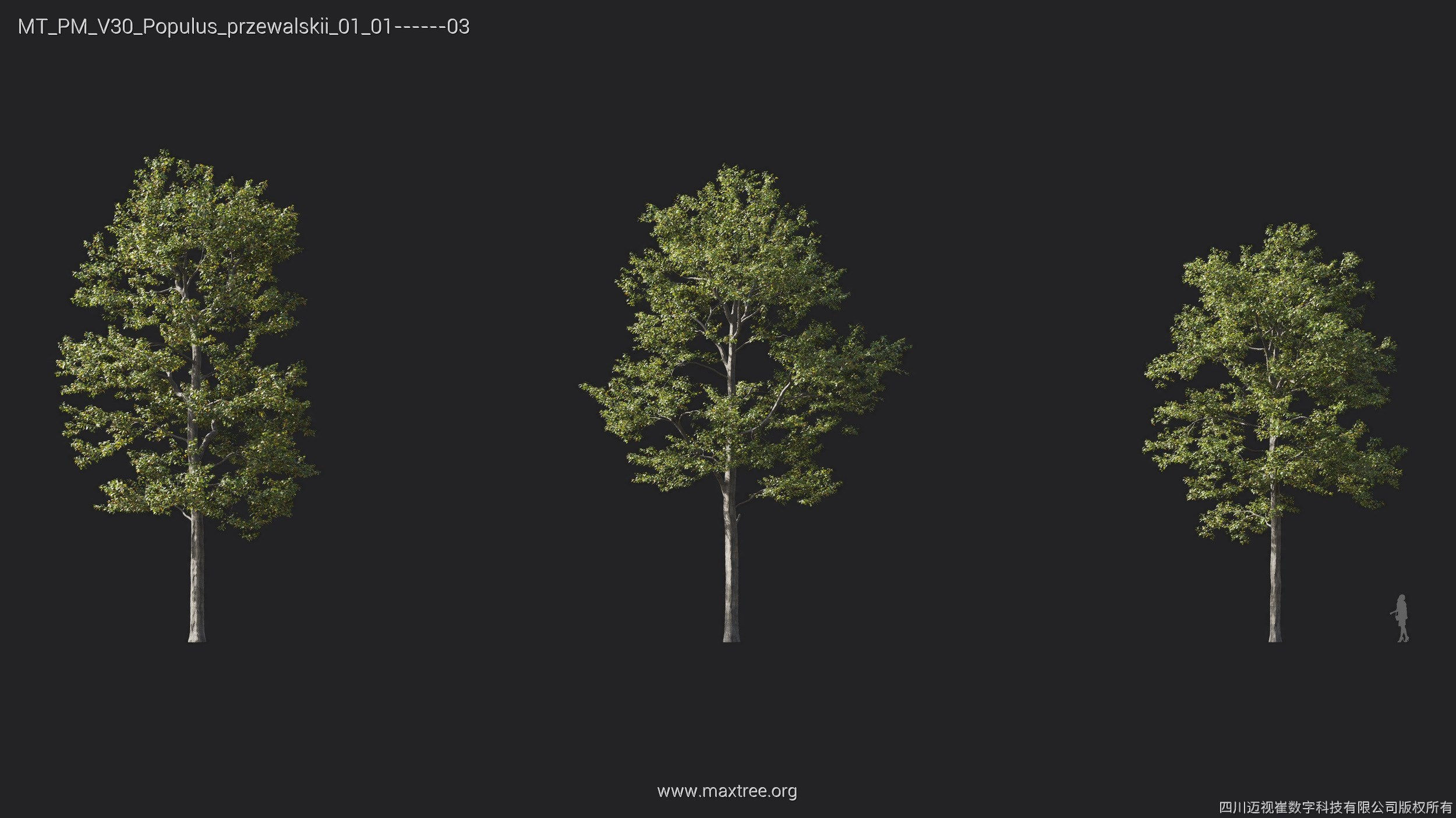 Maxtree Plant Models Vol 30 - Mesh 3D model_18
