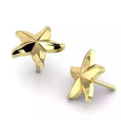Stud earrings starfish Model 3166 3D print model