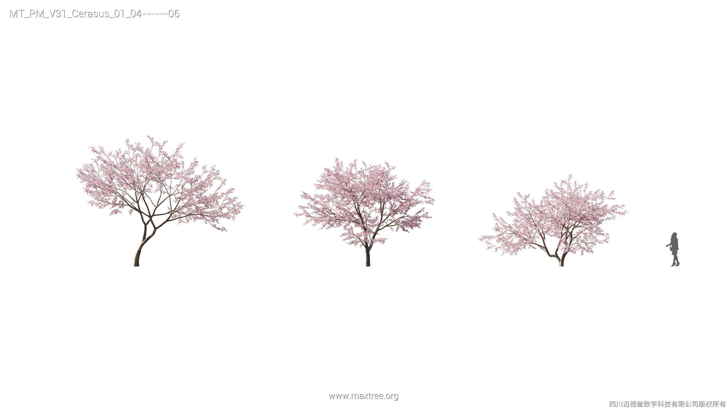 Maxtree Plant Models Vol 31 - Mesh 3D model_8