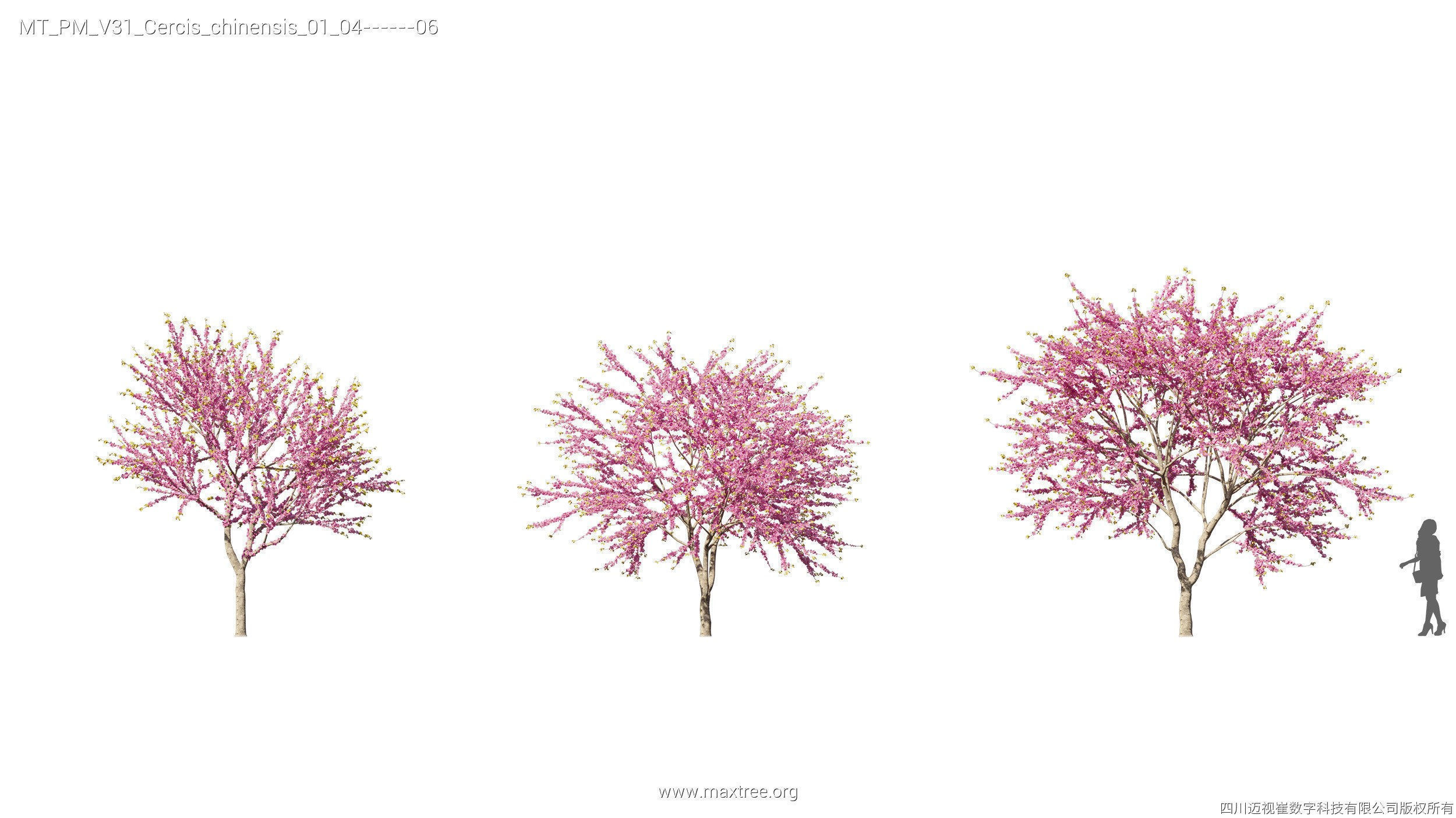 Maxtree Plant Models Vol 31 - Mesh 3D model_10