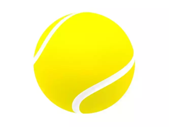 Tennis ball