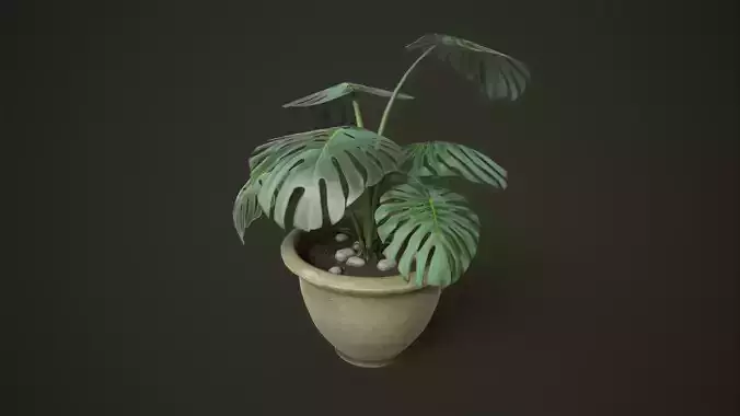 Monstera in a pot Low-poly 3D model
