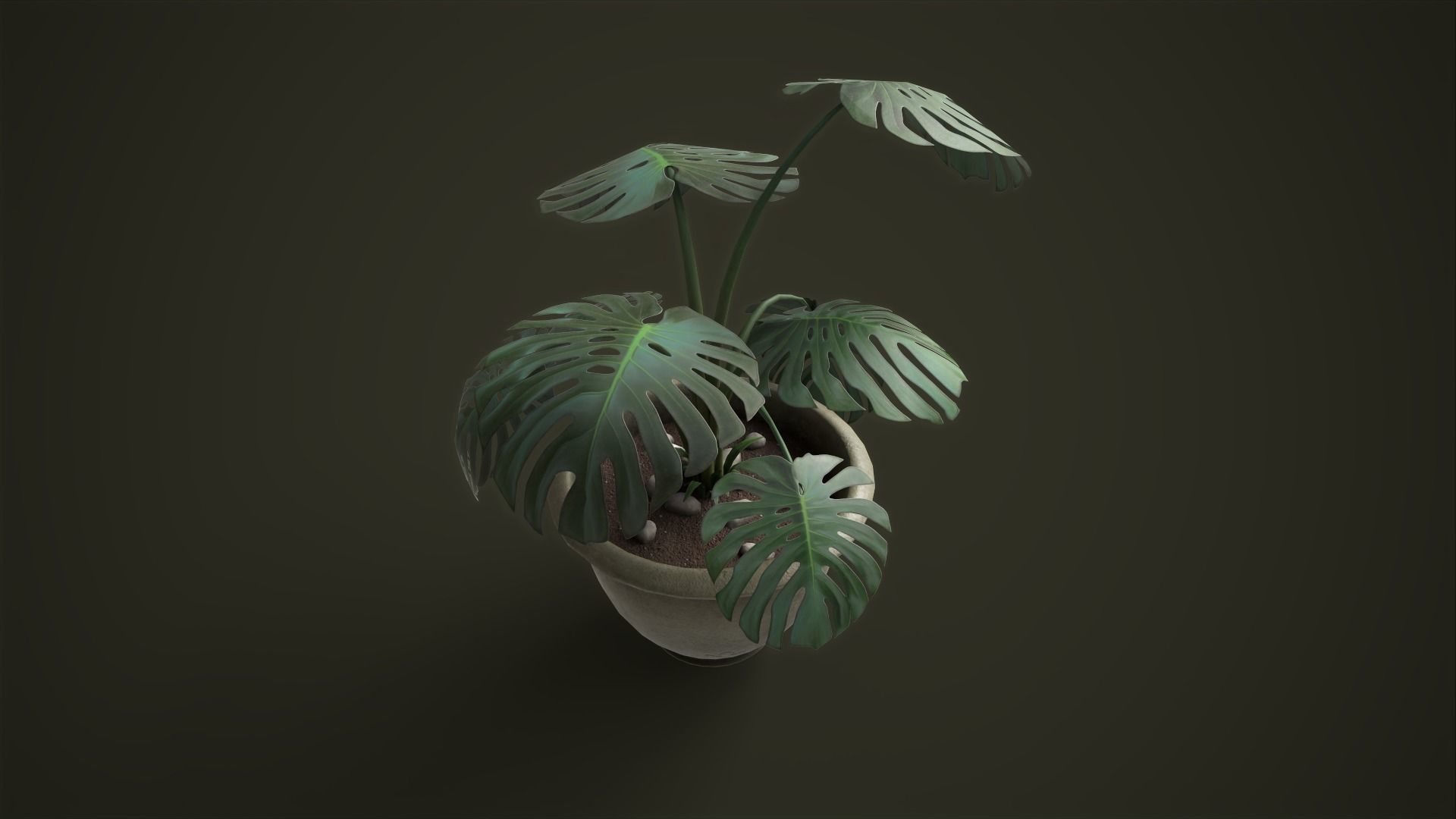 Monstera in a pot Low-poly 3D model_7