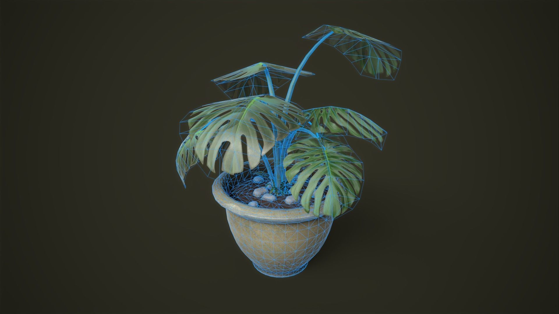 Monstera in a pot Low-poly 3D model_5