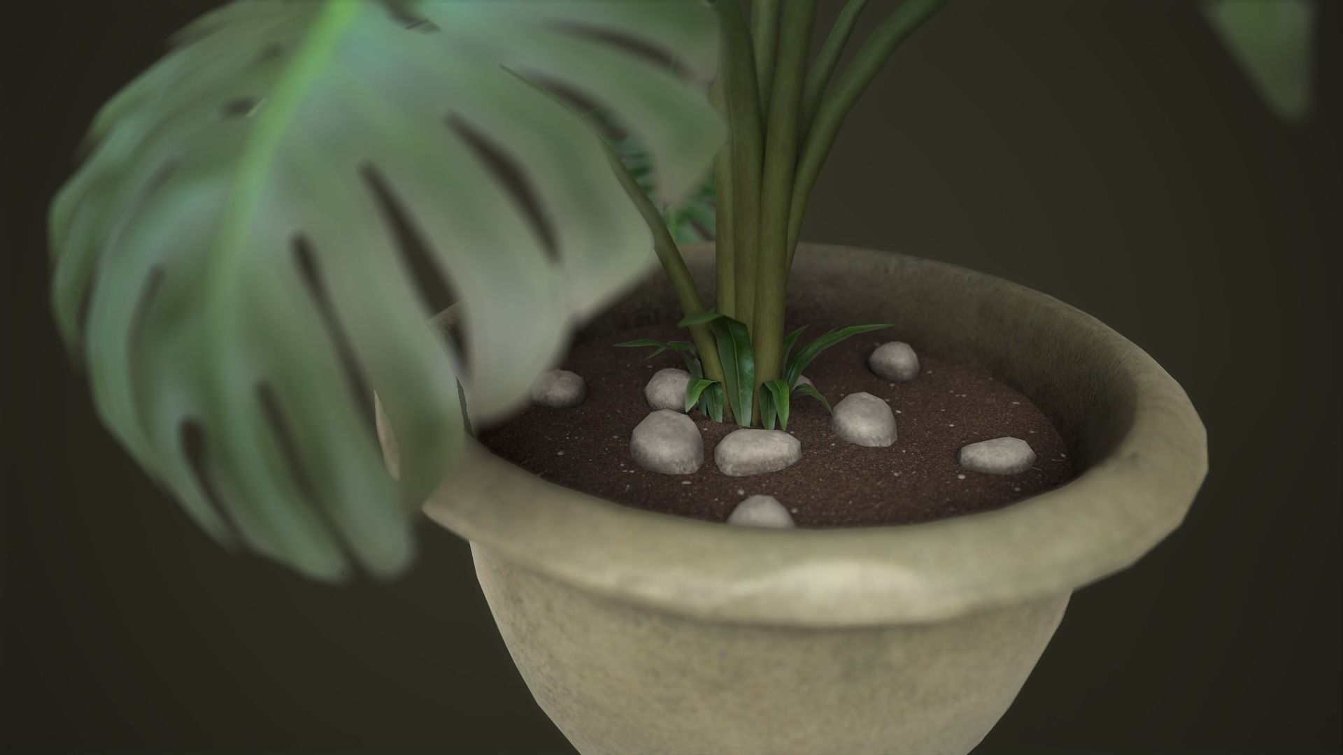 Monstera in a pot Low-poly 3D model_9