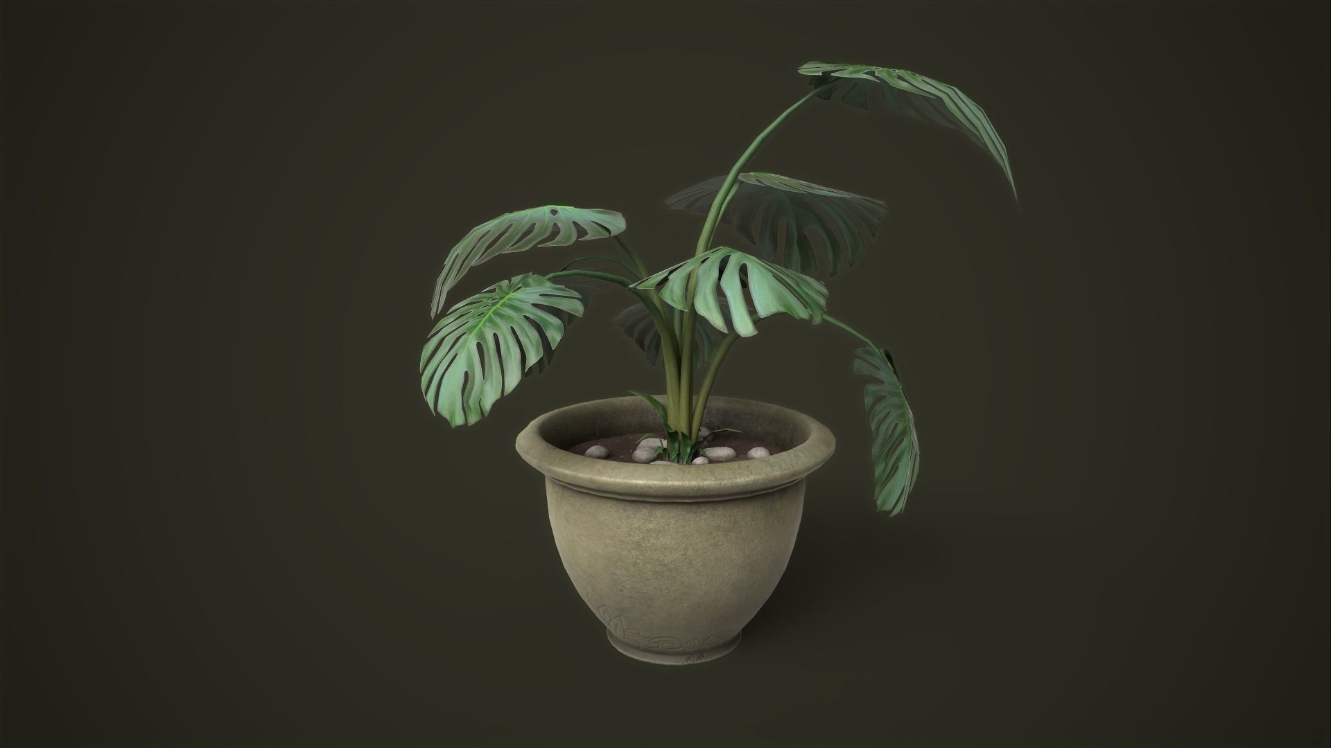 Monstera in a pot Low-poly 3D model_8