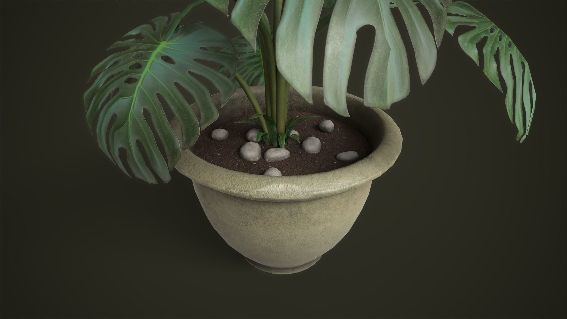 Monstera in a pot Low-poly 3D model_6