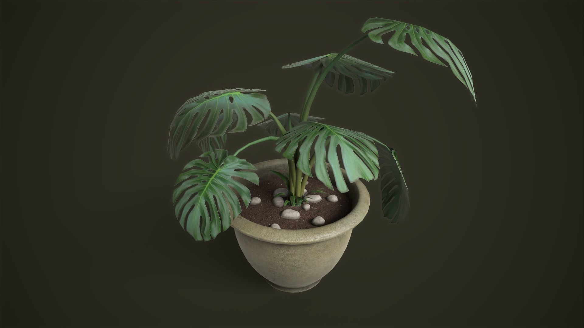 Monstera in a pot Low-poly 3D model_1