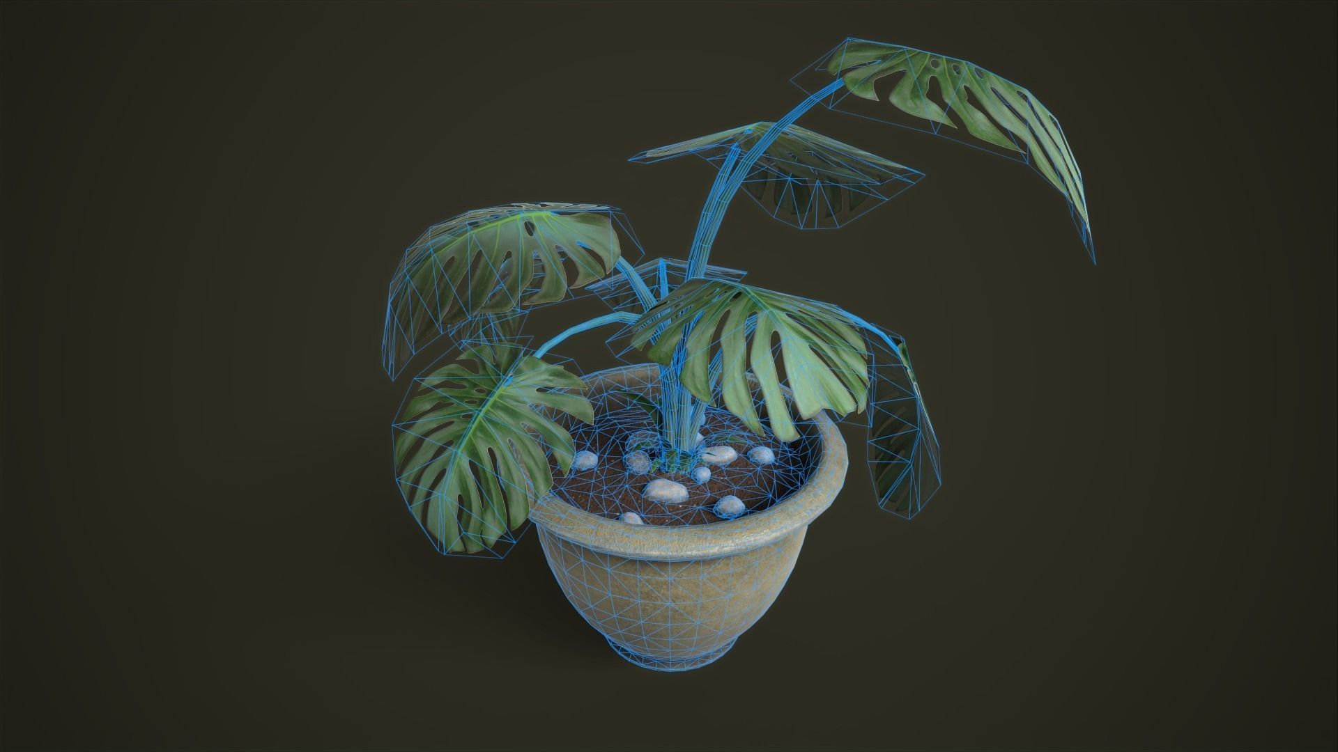 Monstera in a pot Low-poly 3D model_4