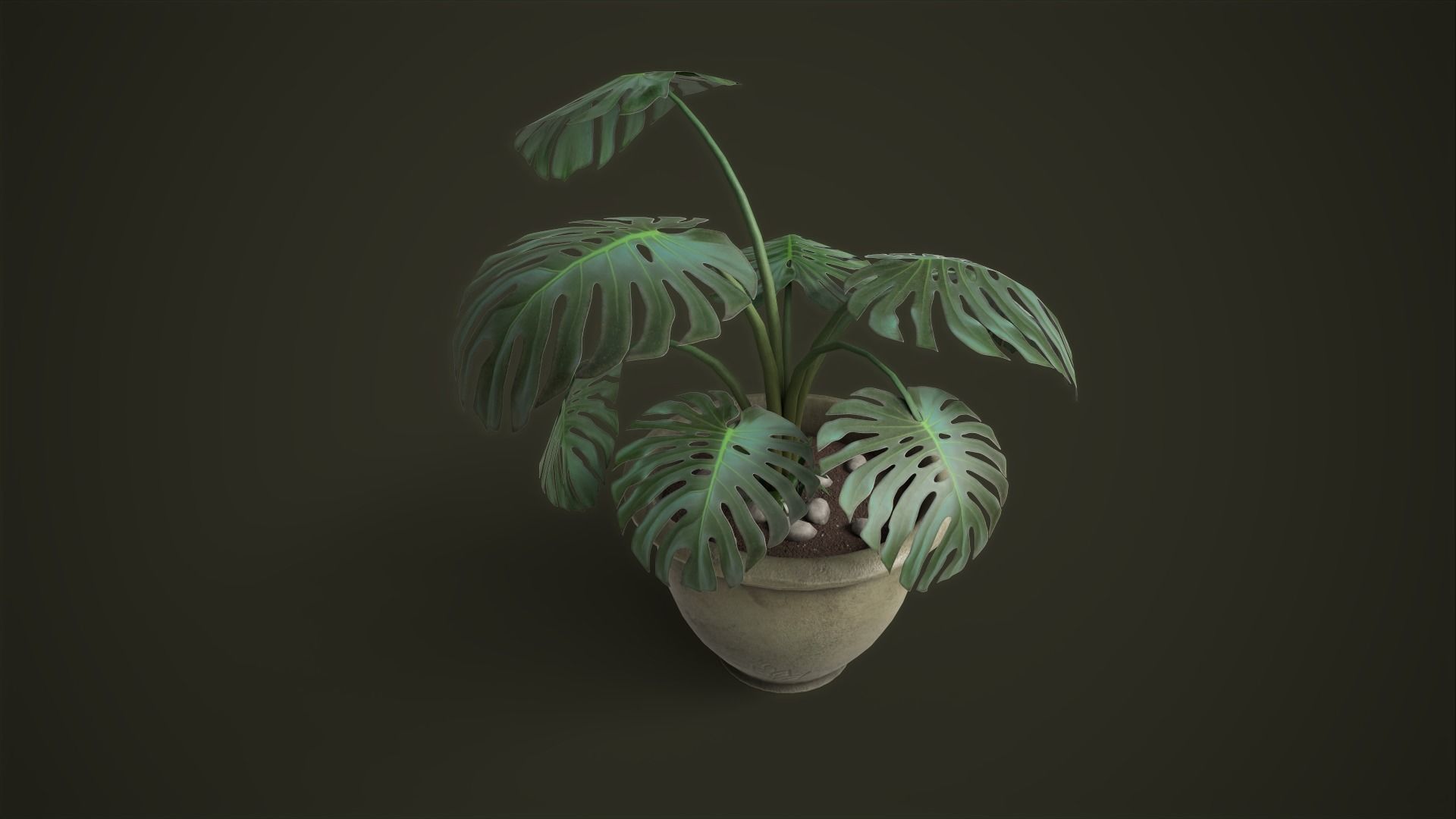 Monstera in a pot Low-poly 3D model_3