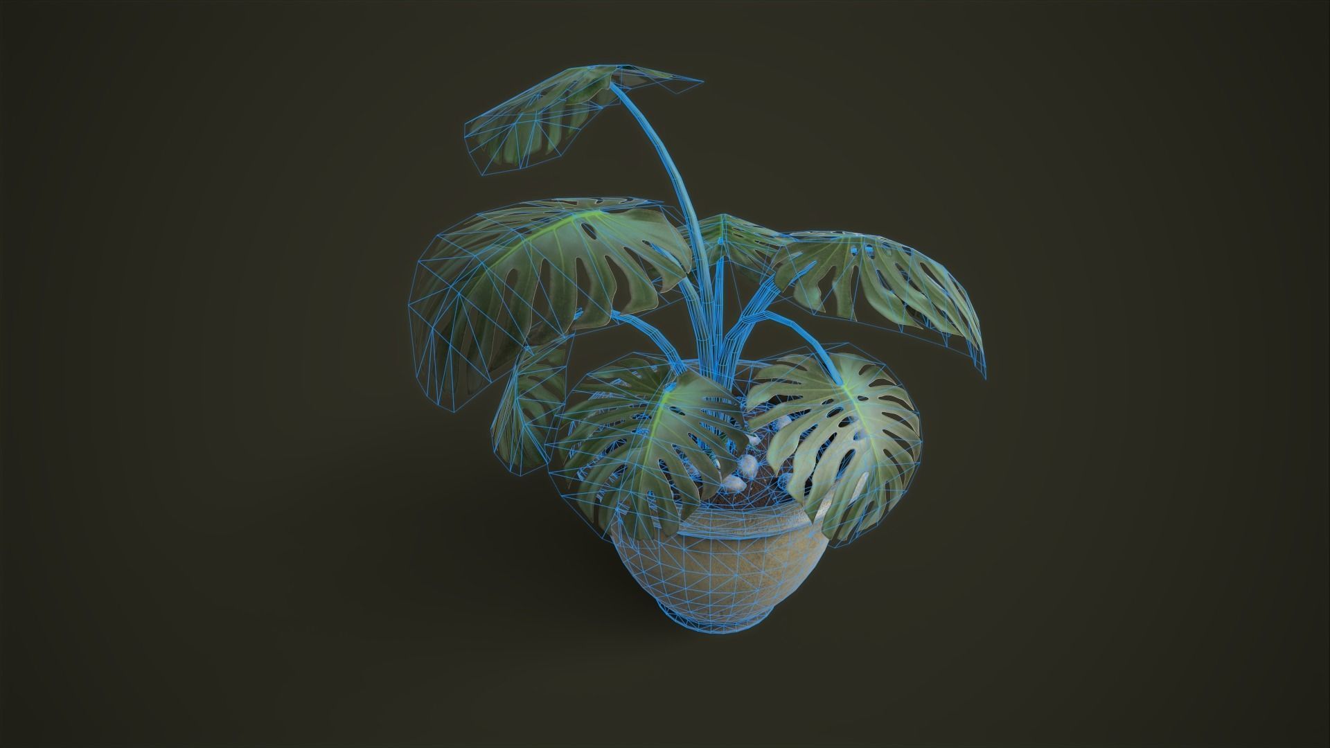 Monstera in a pot Low-poly 3D model_2