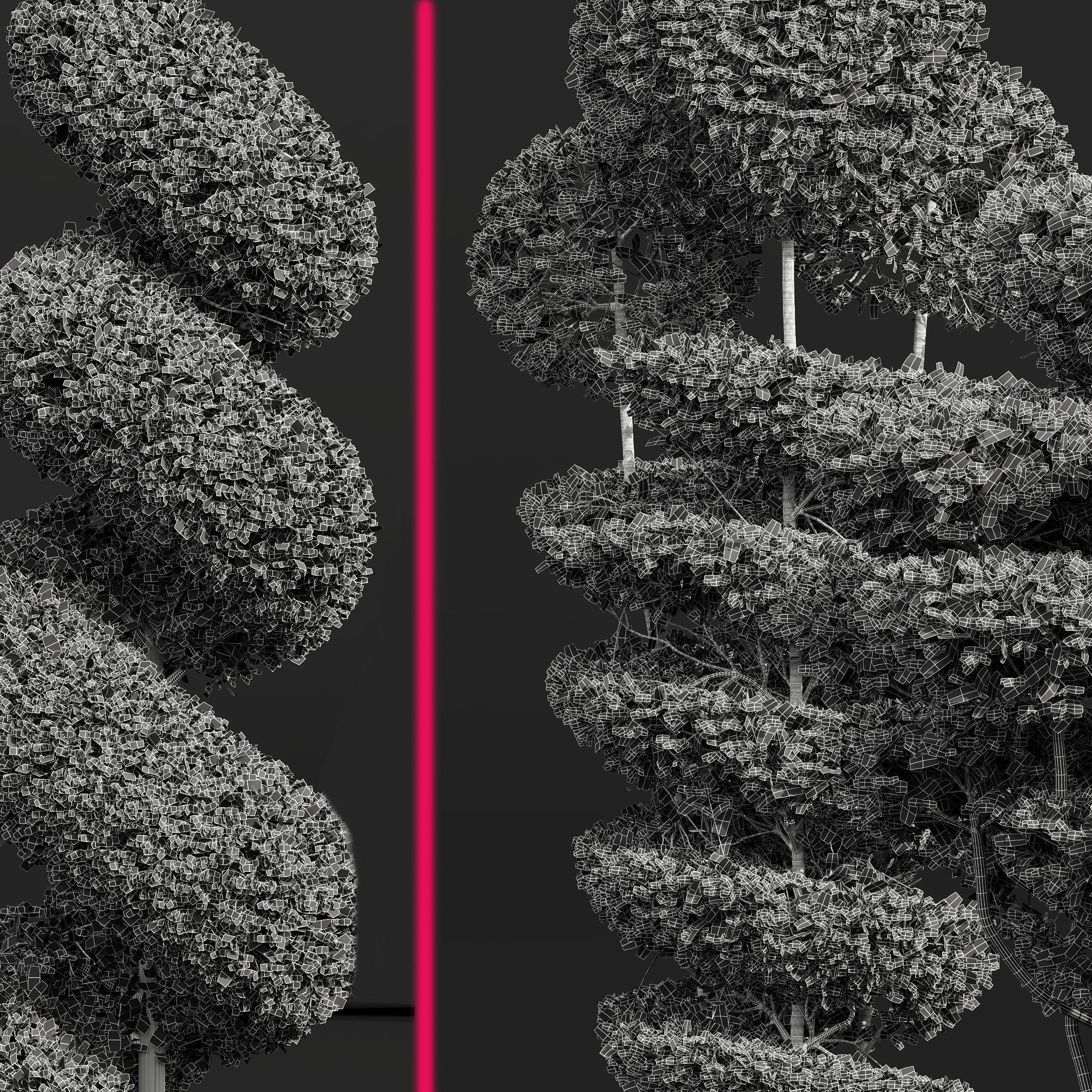 Ficus Concinna Bonsai Pruned-2 models 3D model_2