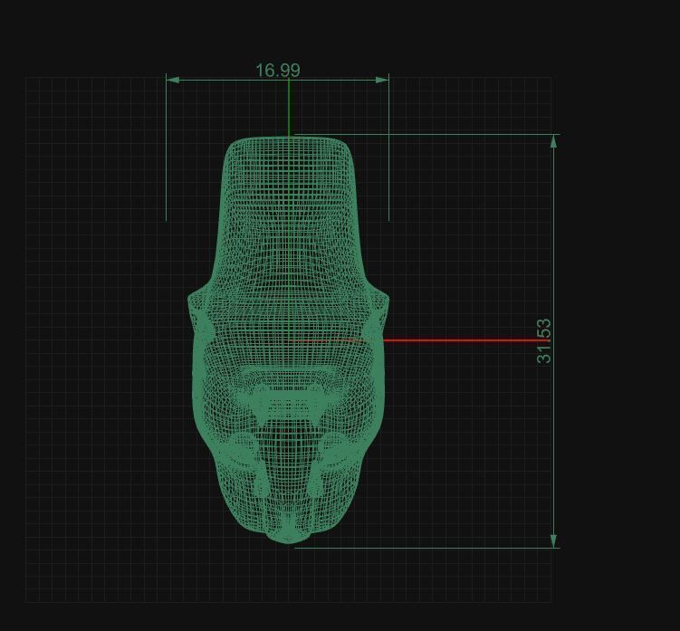 panther Tiger head 3D print model_8