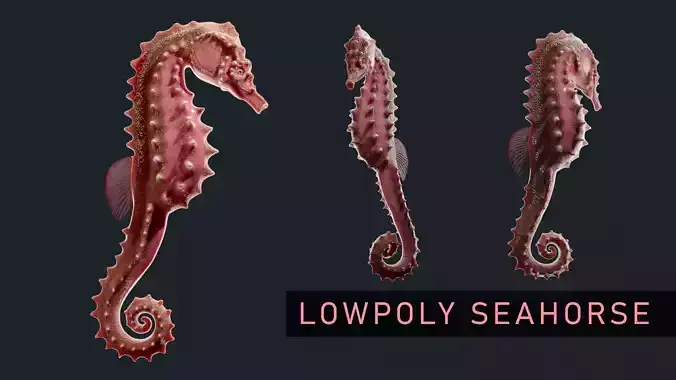 Game Ready Seahorse Low-poly 3D model