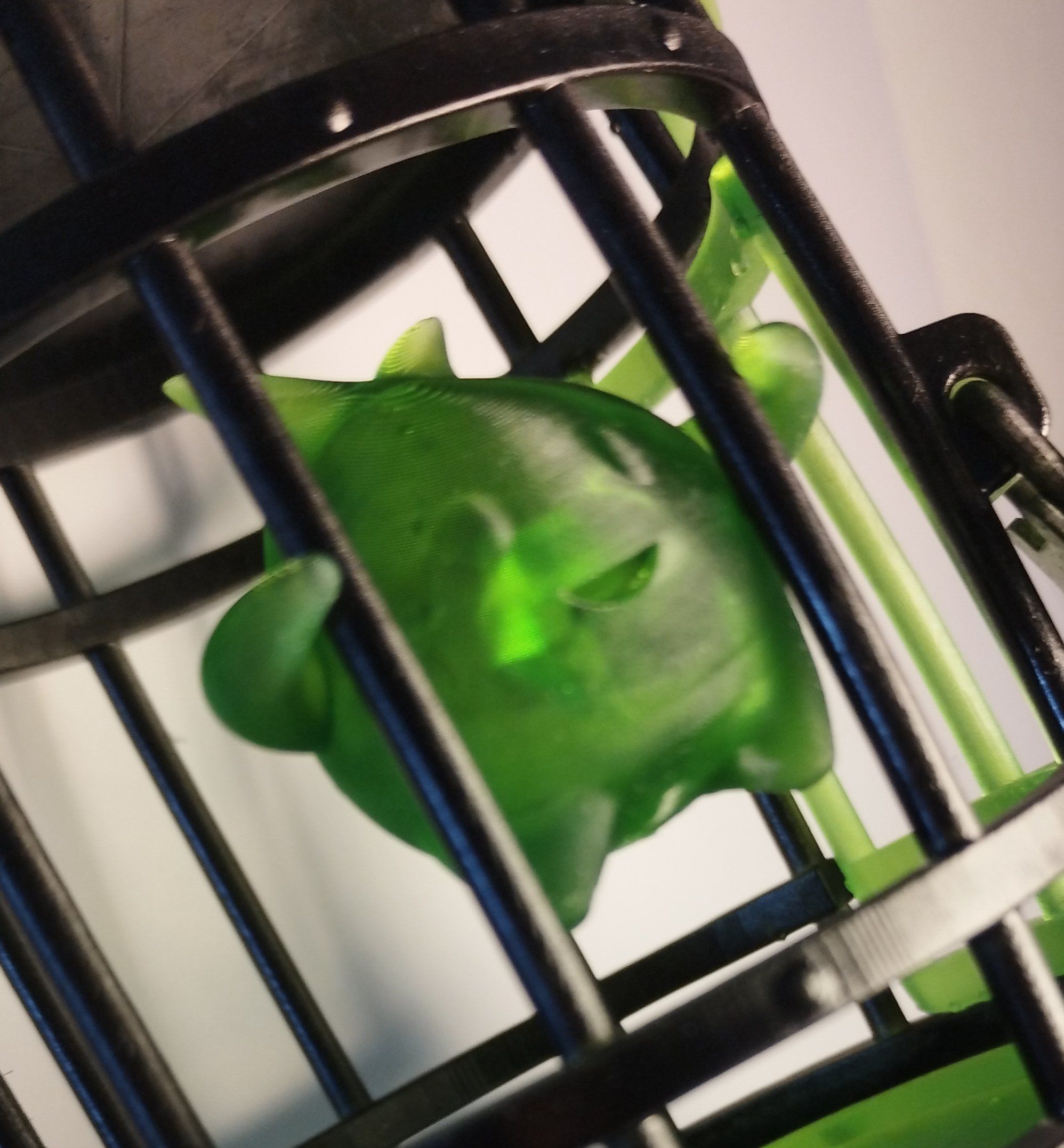 Lumalee locked in a cage 3D print model_9
