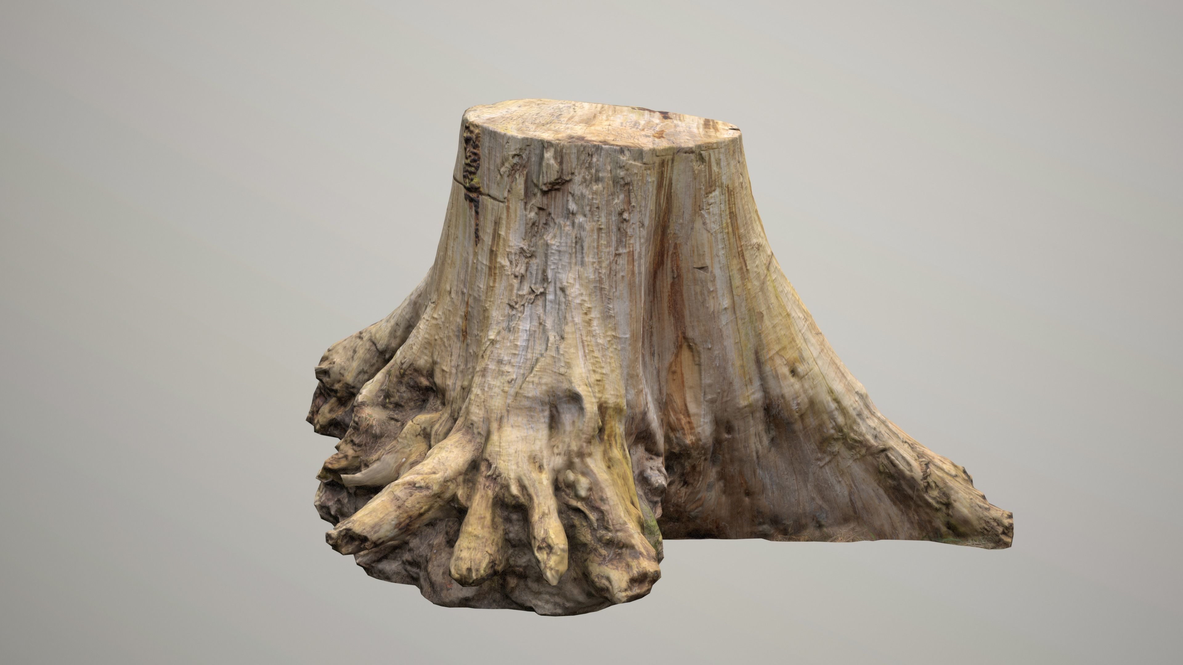 Big Tree Stump Low-poly 3D model_11