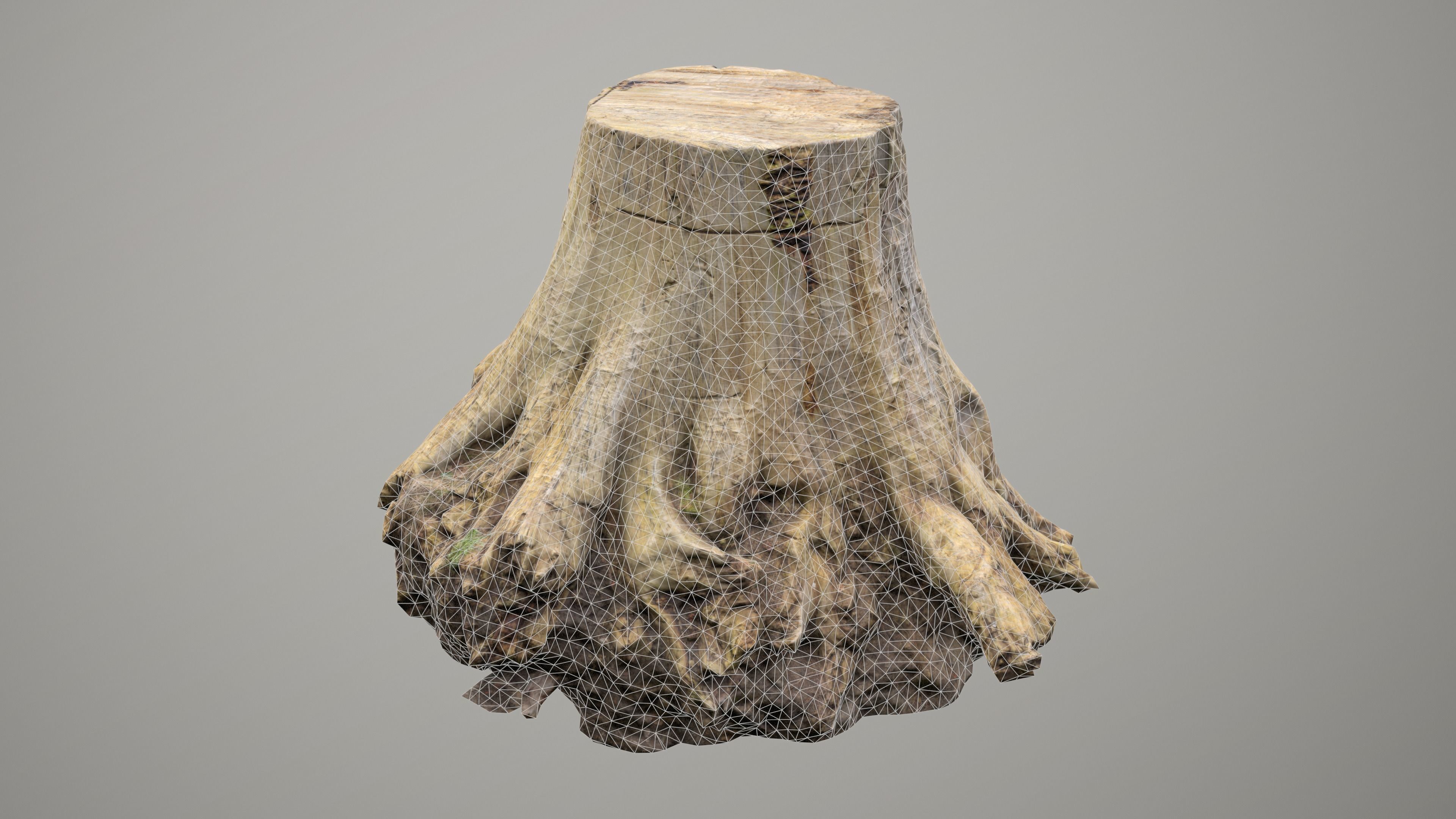 Big Tree Stump Low-poly 3D model_13