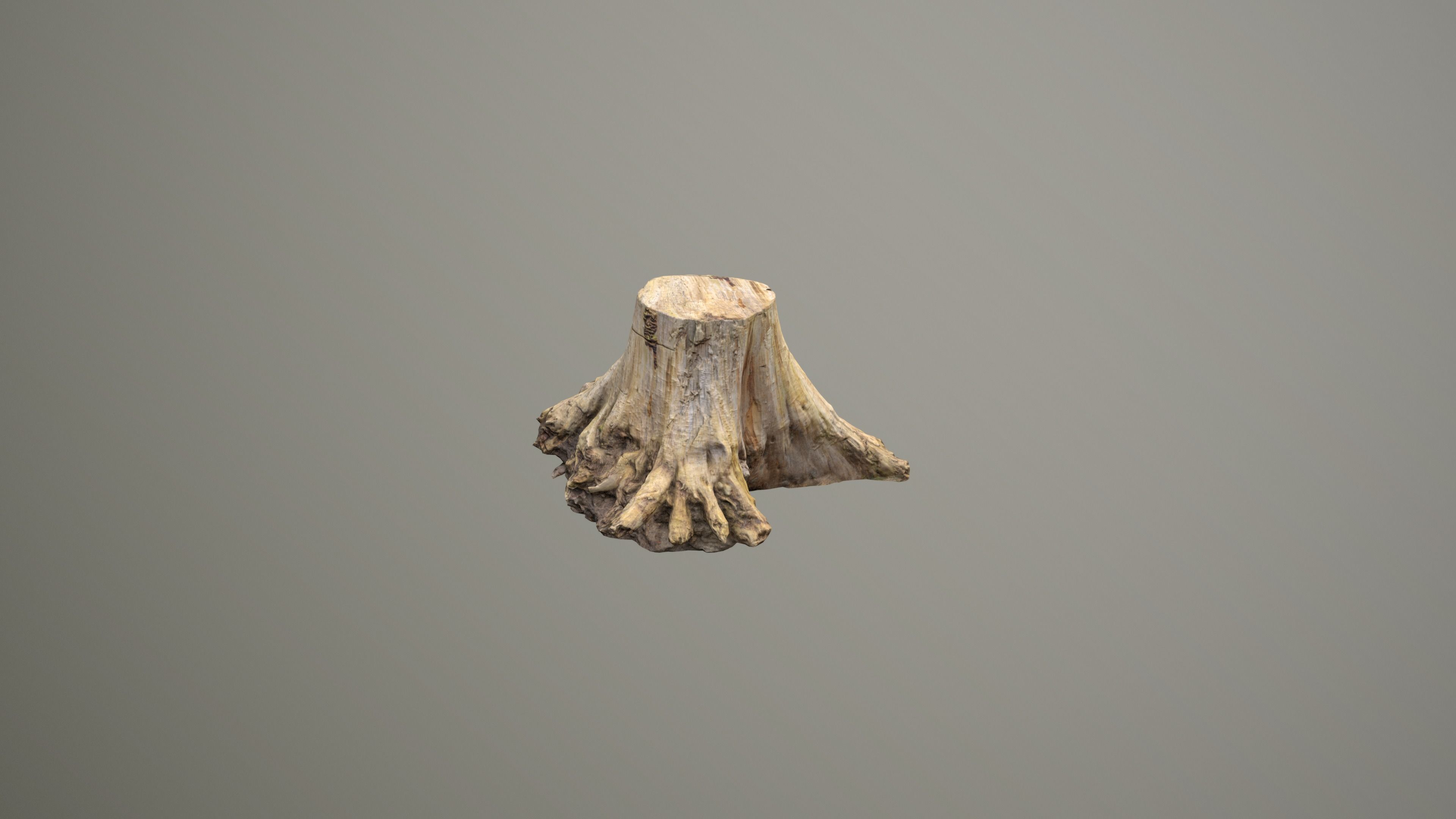 Big Tree Stump Low-poly 3D model_17